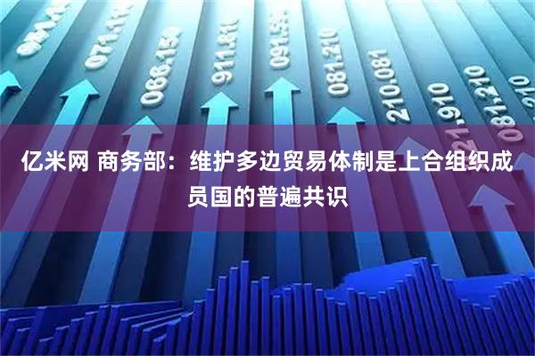 亿米网 商务部：维护多边贸易体制是上合组织成员国的普遍共识
