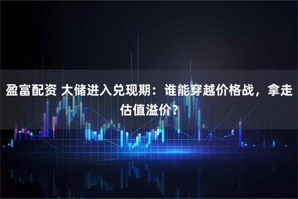 盈富配资 大储进入兑现期：谁能穿越价格战，拿走估值溢价？