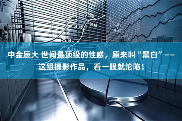 中金辰大 世间最顶级的性感，原来叫“黑白”——这组摄影作品，看一眼就沦陷！