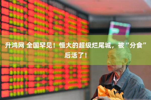 升鸿网 全国罕见！恒大的超级烂尾城，被“分食”后活了！